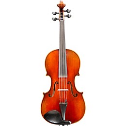 Eastman VA605 Master Series Advanced Viola Outfit 16.5 in.