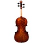 Eastman VA305 Andreas Eastman Series Step-Up Viola Outfit 16.5 in.