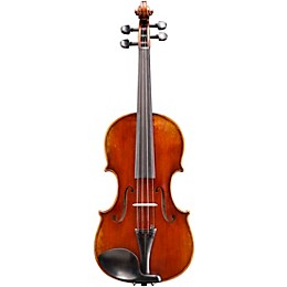 Eastman VL701 Rudoulf Doetsch Series Professional Violin Outfit 7/8