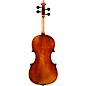 Eastman VL701 Rudoulf Doetsch Series Professional Violin Outfit 7/8