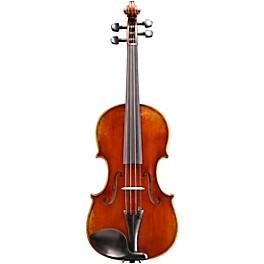 Eastman VL701 Rudoulf Doetsch Series Professional Violin Outfit 1/2