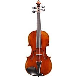 Eastman VL701 Rudoulf Doetsch Series Professional Violin Outfit 1/8