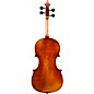 Eastman VL701 Rudoulf Doetsch Series Professional Violin Outfit 1/8