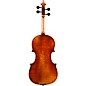 Eastman VL701 Rudoulf Doetsch Series Professional Violin Outfit 3/4