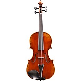 Eastman VL701 Rudoulf Doetsch Series Professional Violin Outfit 4/4