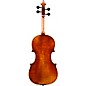 Eastman VL701 Rudoulf Doetsch Series Professional Violin Outfit 4/4