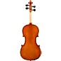 Eastman VL80 Samuel Eastman Series Student Violin Outfit 1/10