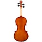 Eastman VL80 Samuel Eastman Series Student Violin Outfit 1/8