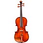 Eastman VL405 Andreas Eastman Series Step-Up Violin Outfit 4/4 thumbnail