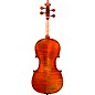 Eastman VL405 Andreas Eastman Series Step-Up Violin Outfit 4/4