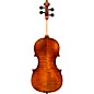 Eastman VL401 Ivan Dunov Series Step-Up Violin Outfit 4/4