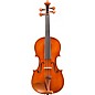 Eastman VL200 Andreas Eastman Series Step-Up Violin Outfit 1/10 thumbnail