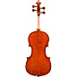 Eastman VL200 Andreas Eastman Series Step-Up Violin Outfit 1/10