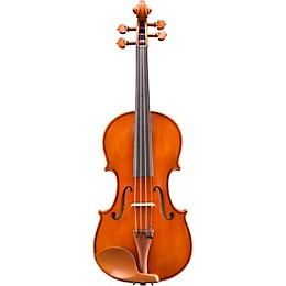 Eastman VL200 Andreas Eastman Series Step-Up Violin Outfit 1/16