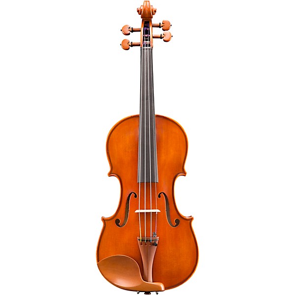 Eastman VL200 Andreas Eastman Series Step-Up Violin Outfit 1/16