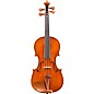 Eastman VL200 Andreas Eastman Series Step-Up Violin Outfit 1/16 thumbnail