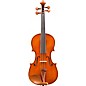 Eastman VL200 Andreas Eastman Series Step-Up Violin Outfit 1/2 thumbnail