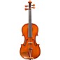 Eastman VL200 Andreas Eastman Series Step-Up Violin Outfit 1/8 thumbnail