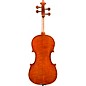 Eastman VL200 Andreas Eastman Series Step-Up Violin Outfit 1/8