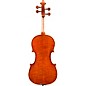 Eastman VL200 Andreas Eastman Series Step-Up Violin Outfit 7/8