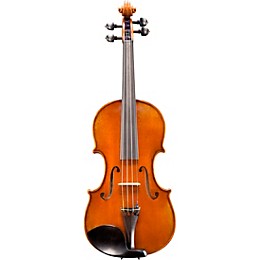 Eastman VL702 Wilhelm Klier Series Professional Violin Outfit 4/4