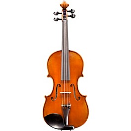 Eastman VL702 Wilhelm Klier Series Professional Violin Outfit 4/4