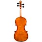 Eastman VL702 Wilhelm Klier Series Professional Violin Outfit 4/4