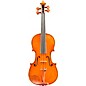 Eastman VL906 Master Series Professional Violin Outfit 4/4 thumbnail