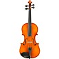 Eastman VL100 Samuel Eastman Series Student Violin Outfit 1/32 thumbnail