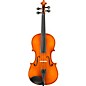 Eastman VL100 Samuel Eastman Series Student Violin Outfit 1/16 thumbnail