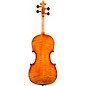 Eastman VL928 Raul Emiliani Series Professional Violin Outfit 4/4