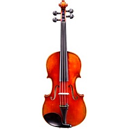 Eastman VL605 Master Series Advanced Violin Outfit 4/4