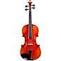 Eastman VL605 Master Series Advanced Violin Outfit 4/4 thumbnail