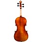 Eastman VA402 Ivan Dunov Superior Series Step-Up Viola Outfit 15 in.