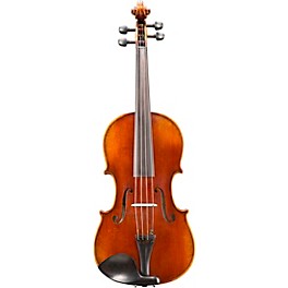 Eastman VA402 Ivan Dunov Superior Series Step-Up Viola Outfit 16 in.