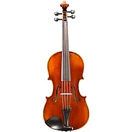 Eastman VA402 Ivan Dunov Superior Series Step-Up Viola Outfit 16.5 in.