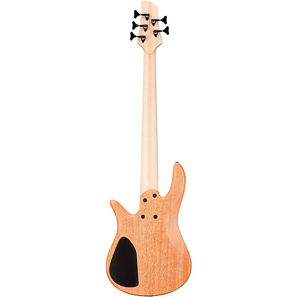 Fodera Yin Yang 5 Standard Dual-Coil 17.5 mm 5-String Electric Bass Blister Maple