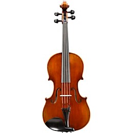 Eastman VA701 Sudoulf Doetsch Series Professional Viola Outfit 16.5 in.