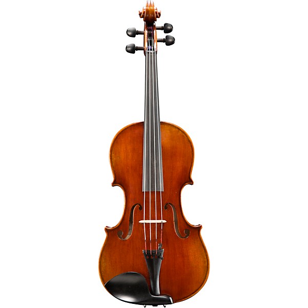 Eastman VA701 Sudoulf Doetsch Series Professional Viola Outfit 16.5 in.