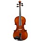 Eastman VA701 Sudoulf Doetsch Series Professional Viola Outfit 16.5 in. thumbnail