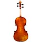 Eastman VA701 Sudoulf Doetsch Series Professional Viola Outfit 16.5 in.