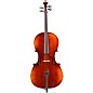 Eastman VC305 Andreas Eastman Series Step-Up Cello Outfit 4/4 thumbnail