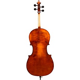 Eastman VC305 Andreas Eastman Series Step-Up Cello Outfit 4/4