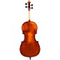 Eastman VC305 Andreas Eastman Series Step-Up Cello Outfit 1/2