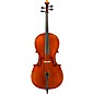 Eastman VC405 Andreas Eastman Series Step-Up Cello Outfit 4/4 thumbnail