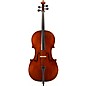 Eastman VC402 Ivan Dunov Series Step-Up Cello Outfit 4/4 thumbnail