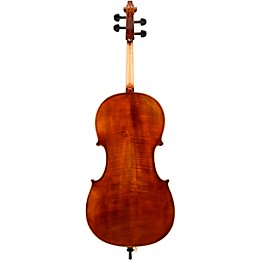 Eastman VC402 Ivan Dunov Series Step-Up Cello Outfit 4/4