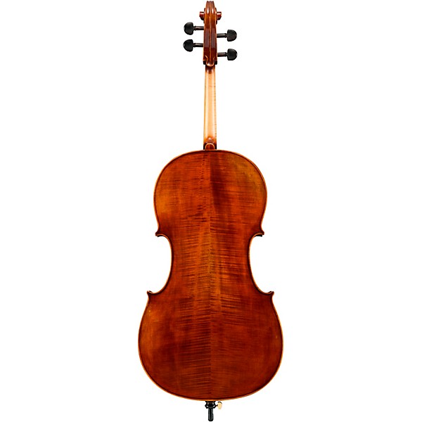 Eastman VC402 Ivan Dunov Series Step-Up Cello Outfit 4/4