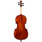 Eastman VC402 Ivan Dunov Series Step-Up Cello Outfit 4/4