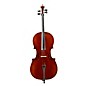 Eastman VC701 Rudoulf Doetsch Series Advanced Cello Outfit 4/4 thumbnail